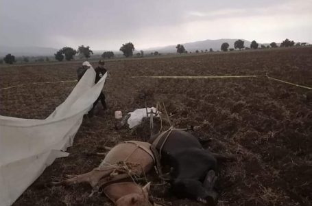 Campesino y Sus Caballos Fallecen Tras Ser Alcanzados por un Rayo en Acatzingo