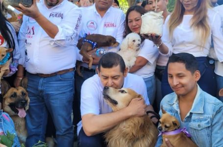 Alejandro Armenta trabaja por el bienestar animal
