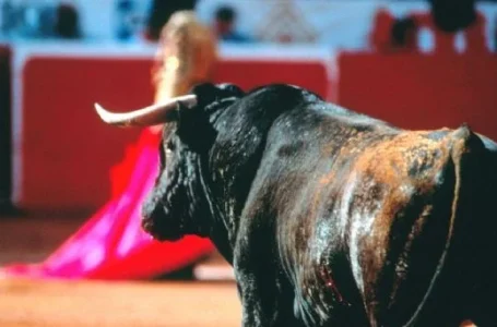 Suspendidas Corridas de Toros en la Plaza México por Orden Judicial