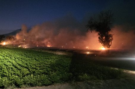 Cuidemos Atlixco, evita quema de pastizales para prevenir incendios forestales.