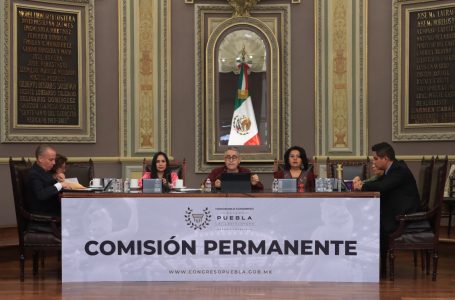 Promueve Congreso del Estado tenencia responsable de mascotas y bienestar animal