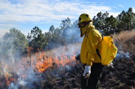 En Puebla, provocar incendios forestales no tiene impunidad; gobierno estatal exhorta a denunciar