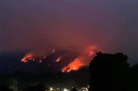 Pobladores llegan desde Veracruz y Puebla, piden ayuda en CDMX para sofocar enorme incendio forestal