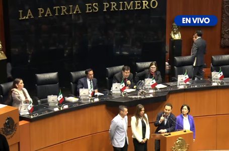 Votación de la reforma al Poder Judicial: Manifestantes ‘toman’ el Pleno del Senado y suspenden la sesión