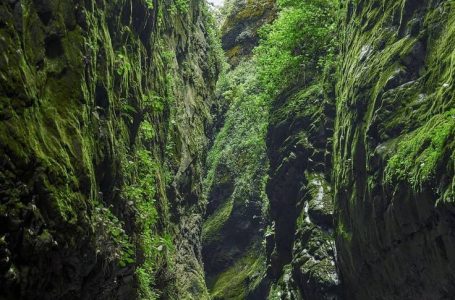 El Cañón de Nexpayantla