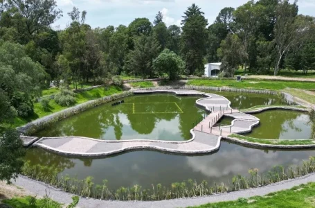 El Bosque del Ajolote