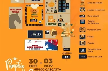 The Pumpkin Zone o Festival de la Calabaza