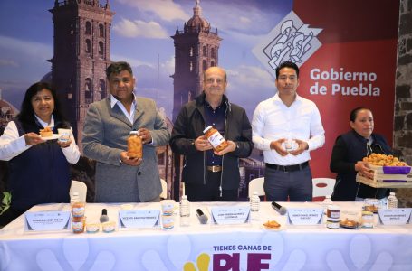 Feria del Tejocote y Expo Agrícola de Calpan