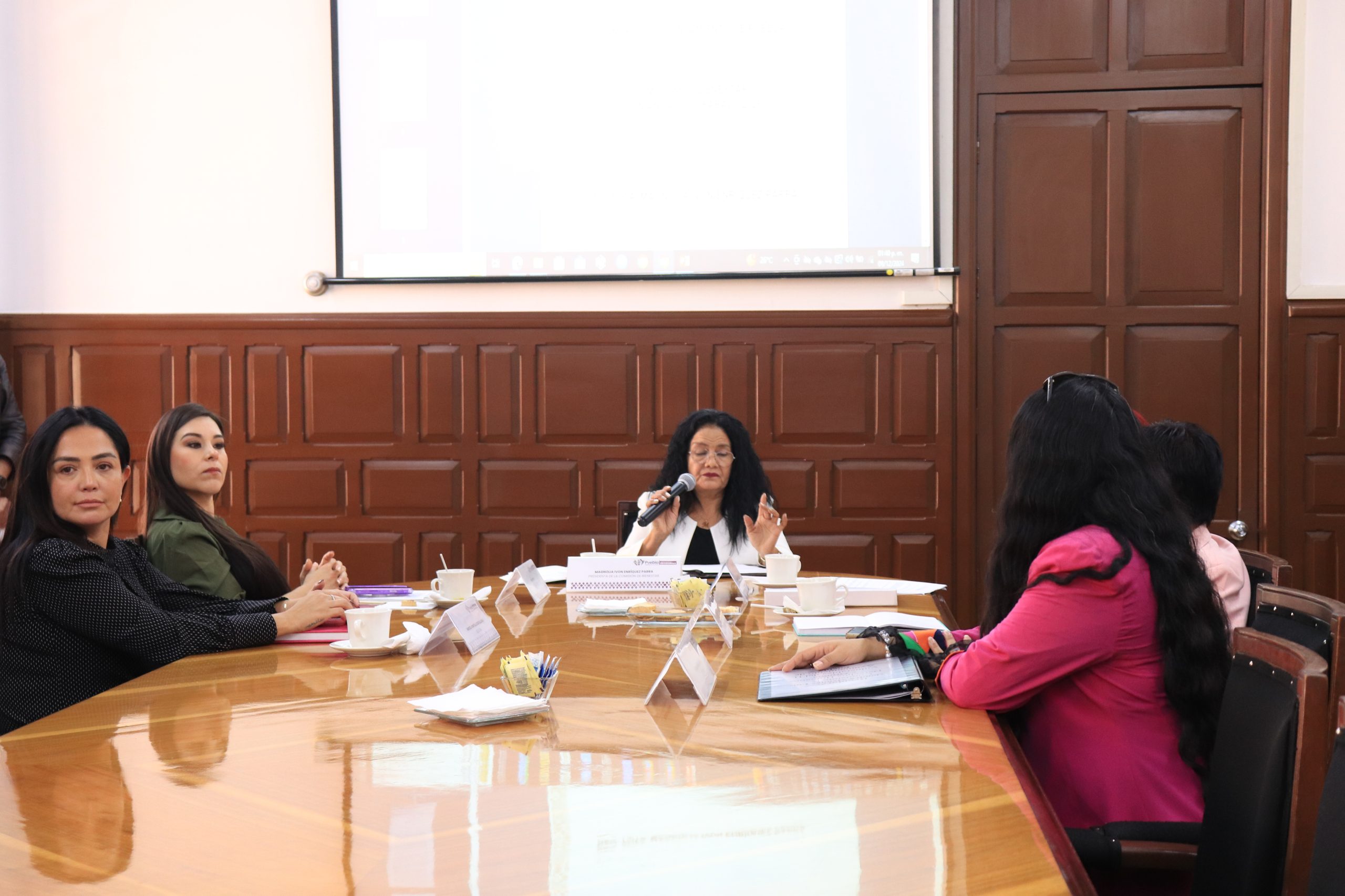 Comisión de Bienestar presenta plan de trabajo para el 2025