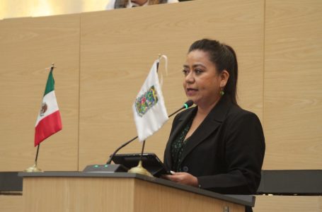 Impulsan propuesta legislativa para que en caso de muerte fetal se garanticen semanas de descanso a las madres