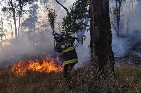 Ante la atención inmediata de incendios, los provocados tendrán penas severas