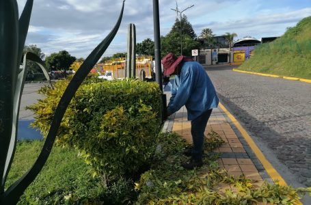 Director de Servicios Públicos de San Pedro Cholula acusado de acoso laboral, violencia de género y amenazas