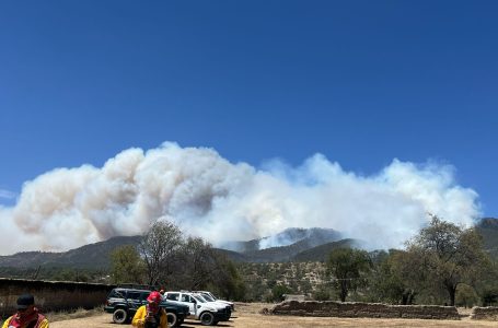 Continúa gobierno estatal trabajos de combate de incendios forestales