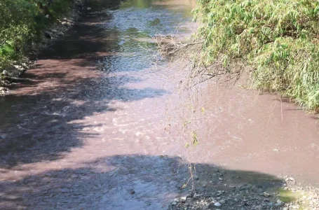 Descargas de aguas residuales en el río Prieto en Coronango