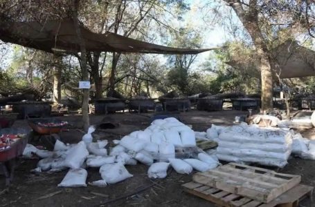 Desmantelan mega-narcolaboratorio en la sierra de Acajete