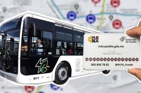 Mobiliario de la Línea 4 de la RUTA sufre de acción criminal