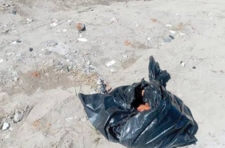 Un perro localiza una cabeza humana en la colonia Miguel Hidalgo de Puebla