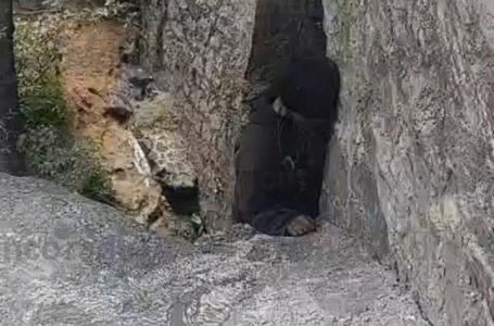 Presunto suicidio en Bosques de Manzanilla