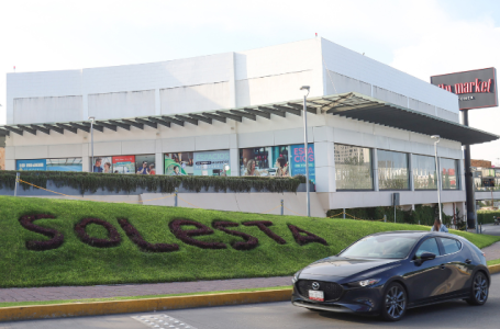 Banda de ladrones de relojes detrás de la muerte de estadounidense en plaza solesta