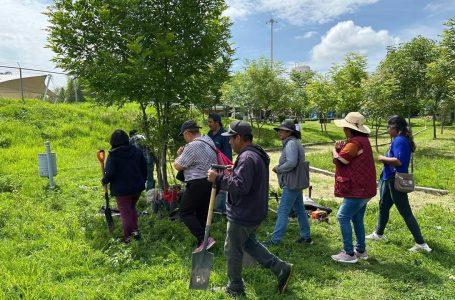 Refuerza Gobierno de la Ciudad reforestación con más de 964 árboles plantados
