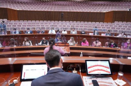 Temporada de informes