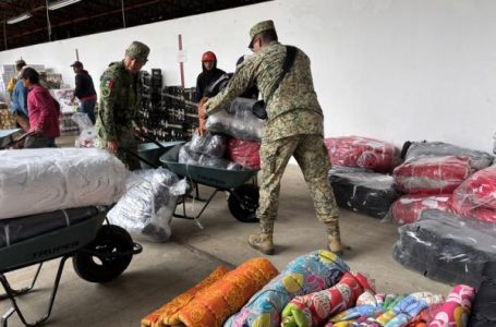 Más de 108 mil 200 apoyos entregados a damnificados: SEDIF