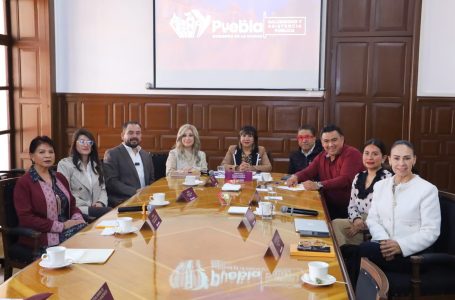 Presenta DIF Puebla capital a la comisión de salubridad y asistencia pública actividades de prevención contra el sarampión