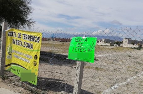 Advierten venta irregular de predios en la Reserva de la Biosfera Tehuacán-Cuicatlán