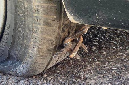 Avalan sanción por ponchallantas en Puebla