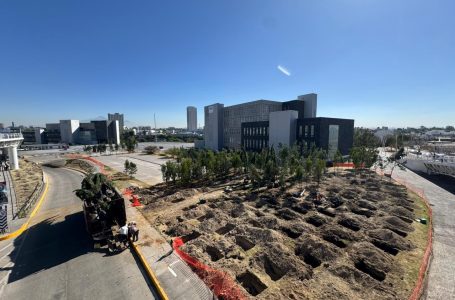Inicia reforestación urbana en CIS y Parque Ecológico; la meta son 10 mil árboles