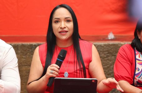 Liz Sánchez asegura que el PT puede ir sólo en la elección intermedia en Puebla