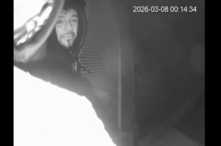 Robo a primaria en Amalucan