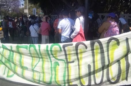 Marcha fallida contra el Cablebús, promotores se quedan solos