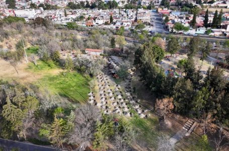 Árboles del bosque urbano generarán agua, oxígeno y albergarán vida