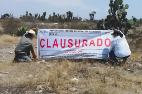 Profepa clausura construcción de viviendas en Biosfera Tehuacán-Cuicatlán