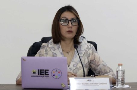 IEE recibe quejas por presuntos actos anticipados de campaña: Mariana Ceballos