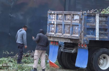 Residentes de Bosques de San Sebastián denuncian tala ilegal de árboles