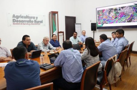 Gobierno estatal consolida acciones sanitarias para incrementar productividad de la caña de azúcar