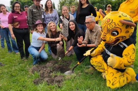 Gobierno estatal plantará 2 millones de árboles con visión integral de restauración