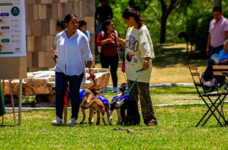 Gobierno del Estado fomenta el bienestar con segunda edición de Adopta Fest