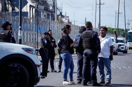 Balacera en Mercado Hidalgo deja dos heridos