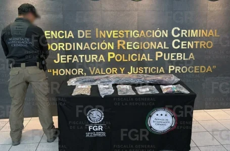 Operativos en Palos Caídos, Zacatlán; saldo de nueve detenidos
