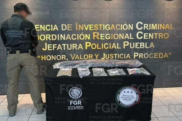 Operativos en Palos Caídos, Zacatlán; saldo de nueve detenidos