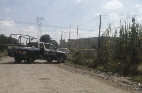 Hallan sin vida a María Luisa; desapareció tras entrar al mercado Morelos