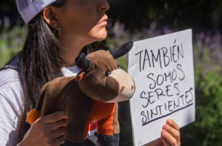 Cancelan actividades tradicionales en fiestas populares Amozoc